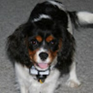 Meet your Posher, Dorlynne